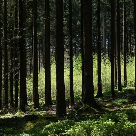 Дом отдыха Modern In With Terrace *